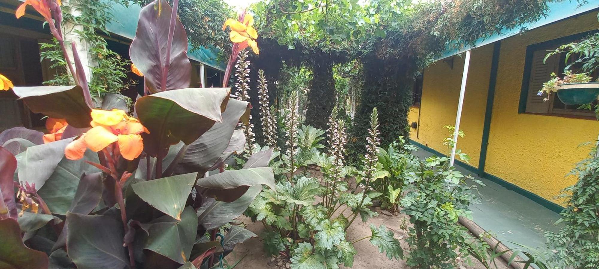 Hosteria El Gusto Es Nuestro กาปียาเดลมอนเต ภายนอก รูปภาพ
